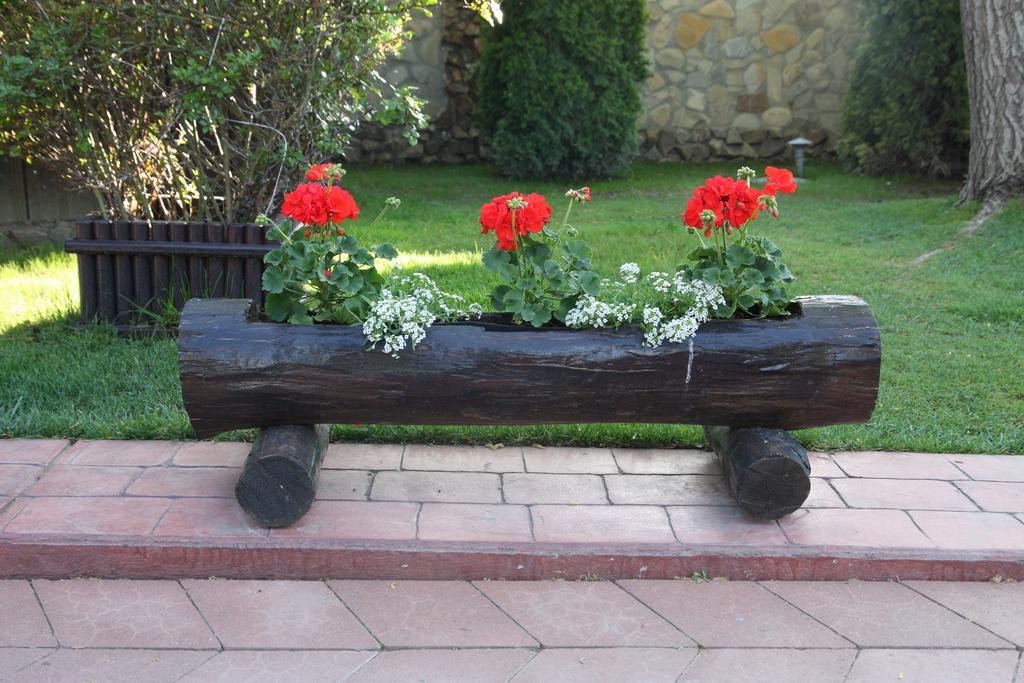 Rixo'S Guesthouse Circea Bagian luar foto