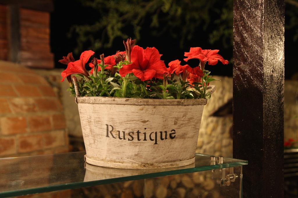Rixo'S Guesthouse Circea Bagian luar foto